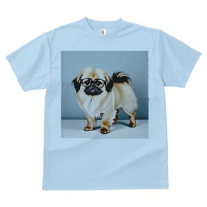 yLj[Y TVc fB[X t@  t  vg JWA 킢 lԗp h ̃fUC ʔ Kl yLj[Y