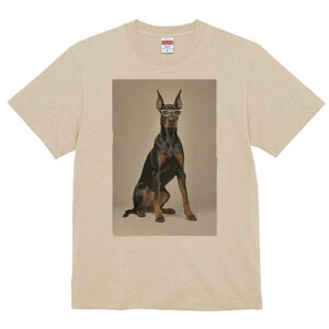 h[x} TVc Y LbY t@  t  vg JWA 킢 lԗp h ̃fUC ʔ Kl h[x}