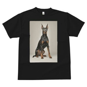 h[x} TVc Y LbY t@  t  vg JWA 킢 lԗp h ̃fUC ʔ Kl h[x}