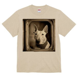 ueA TVc fB[X t@  t  vg JWA 킢 lԗp h ̃fUC ʔ z ueA AeB[N