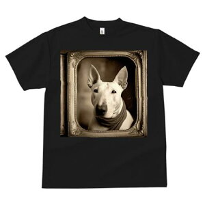 ueA TVc fB[X t@  t  vg JWA 킢 lԗp h ̃fUC ʔ z ueA AeB[N