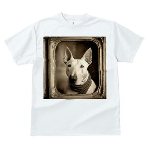 ueA TVc fB[X t@  t  vg JWA 킢 lԗp h ̃fUC ʔ z ueA AeB[N