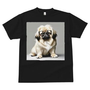 yLj[Y TVc fB[X t@  t  vg JWA 킢 lԗp h ̃fUC ʔ Kl yLj[Y