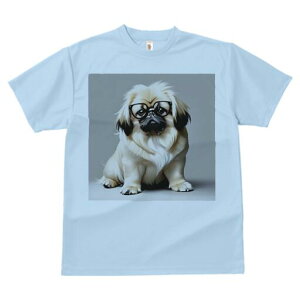 yLj[Y TVc fB[X t@  t  vg JWA 킢 lԗp h ̃fUC ʔ Kl yLj[Y