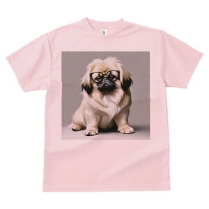 yLj[Y TVc fB[X t@  t  vg JWA 킢 lԗp h ̃fUC ʔ Kl yLj[Y