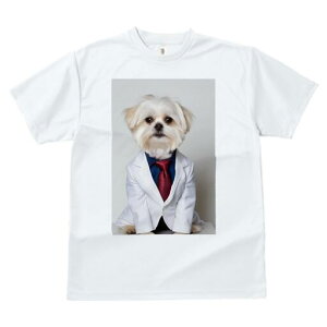 }`[Y TVc fB[X t@  t  vg JWA 킢 lԗp h ̃fUC ʔ X[c }`[Y lN^C CVc