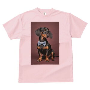 _bNXth TVc fB[X t@  t  vg JWA 킢 lԗp h ̃fUC ʔ lN^C _bNXth ዾ