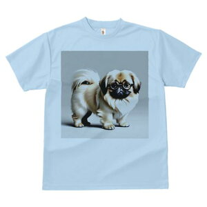 yLj[Y TVc fB[X t@  t  vg JWA 킢 lԗp h ̃fUC ʔ Kl yLj[Y