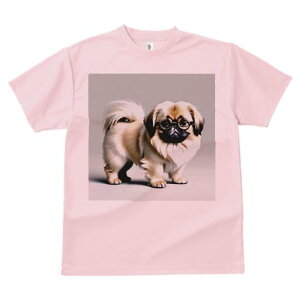 yLj[Y TVc fB[X t@  t  vg JWA 킢 lԗp h ̃fUC ʔ Kl yLj[Y