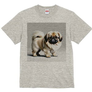 yLj[Y TVc fB[X t@  t  vg JWA 킢 lԗp h ̃fUC ʔ Kl yLj[Y