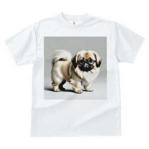 yLj[Y TVc fB[X t@  t  vg JWA 킢 lԗp h ̃fUC ʔ Kl yLj[Y