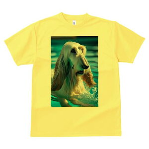 AtKnEh TVc fB[X t@  t  vg JWA 킢 lԗp h ̃fUC ʔ  AtKnEh v[