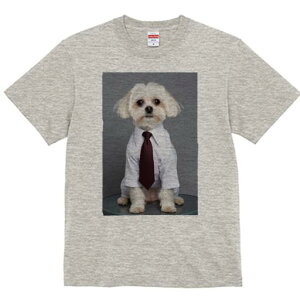 }`[Y TVc fB[X t@  t  vg JWA 킢 lԗp h ̃fUC ʔ Vc }`[Y lN^C