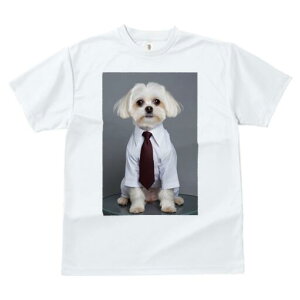 }`[Y TVc fB[X t@  t  vg JWA 킢 lԗp h ̃fUC ʔ Vc }`[Y lN^C