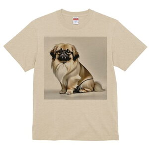 yLj[Y TVc fB[X t@  t  vg JWA 킢 lԗp h ̃fUC ʔ Kl yLj[Y