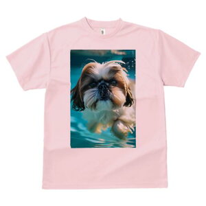 V[Y[ TVc fB[X t@  t  vg JWA 킢 lԗp h ̃fUC ʔ  V[Y[ v[