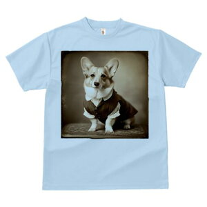 R[M[ TVc fB[X t@  t  vg JWA 킢 lԗp h ̃fUC ʔ X[c R[M[ 