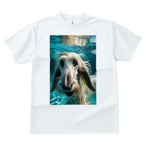 AtKnEh TVc fB[X t@  t  vg JWA 킢 lԗp h ̃fUC ʔ  AtKnEh 