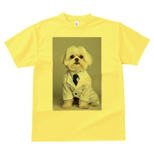 }`[Y TVc fB[X t@  t  vg JWA 킢 lԗp h ̃fUC ʔ  }`[Y lN^C