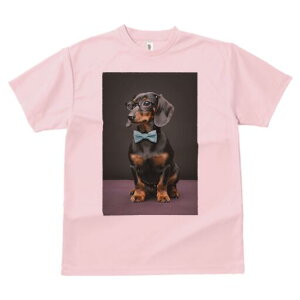 _bNXth TVc fB[X t@  t  vg JWA 킢 lԗp h ̃fUC ʔ Kl _bNXth lN^C