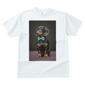 _bNXth TVc Y LbY t@  t  vg JWA 킢 lԗp h ̃fUC ʔ Kl _bNXth lN^C