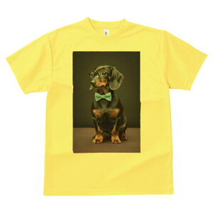 _bNXth TVc fB[X t@  t  vg JWA 킢 lԗp h ̃fUC ʔ Kl _bNXth lN^C