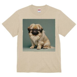 yLj[Y TVc fB[X t@  t  vg JWA 킢 lԗp h ̃fUC ʔ Kl yLj[Y