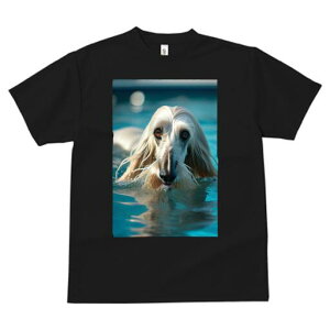 AtKnEh TVc fB[X t@  t  vg JWA 킢 lԗp h ̃fUC ʔ  AtKnEh v[