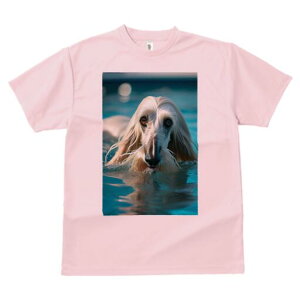 AtKnEh TVc fB[X t@  t  vg JWA 킢 lԗp h ̃fUC ʔ  AtKnEh v[