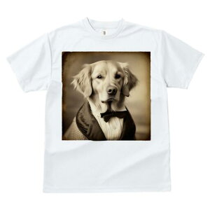 S[fgo[ TVc fB[X t@  t  vg JWA 킢 lԗp h ̃fUC ʔ lN^C S[fgo[ X[c