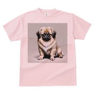 yLj[Y TVc fB[X t@  t  vg JWA 킢 lԗp h ̃fUC ʔ Kl yLj[Y