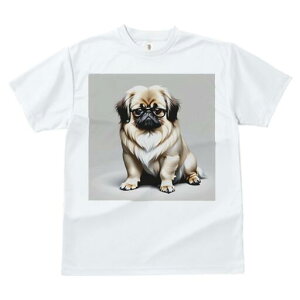 yLj[Y TVc fB[X t@  t  vg JWA 킢 lԗp h ̃fUC ʔ Kl yLj[Y