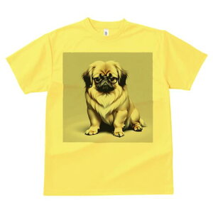 yLj[Y TVc Y LbY t@  t  vg JWA 킢 lԗp h ̃fUC ʔ Kl yLj[Y