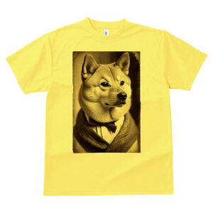 Č TVc fB[X t@  t  vg JWA 킢 lԗp h ̃fUC ʔ lN^C Č X[c