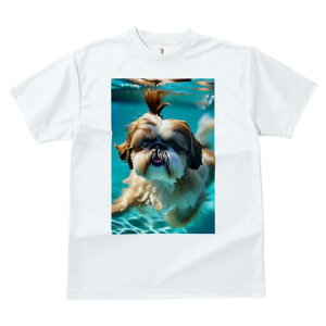 V[Y[ TVc fB[X t@  t  vg JWA 킢 lԗp h ̃fUC ʔ  V[Y[ v[