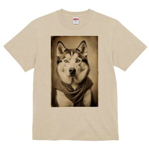 VxAnXL[ TVc fB[X t@  t  vg JWA 킢 lԗp h ̃fUC ʔ XJ[t VxAnXL[