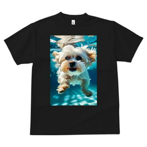 }`[Y TVc fB[X t@  t  vg JWA 킢 lԗp h ̃fUC ʔ  }`[Y  v[