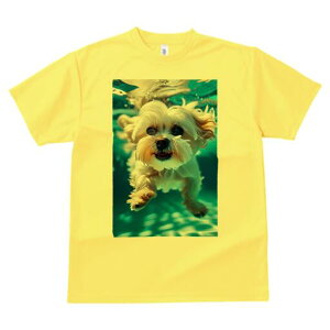 }`[Y TVc fB[X t@  t  vg JWA 킢 lԗp h ̃fUC ʔ  }`[Y  v[