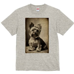 [NV[eA TVc fB[X t@  t  vg JWA 킢 lԗp h ̃fUC ʔ AeB[N [NV[eA g