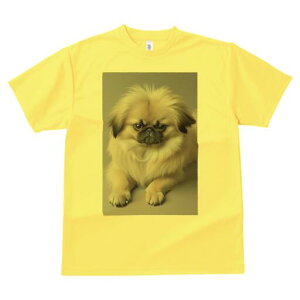 yLj[Y TVc fB[X t@  t  vg JWA 킢 lԗp h ̃fUC ʔ yLj[Y