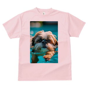 V[Y[ TVc fB[X t@  t  vg JWA 킢 lԗp h ̃fUC ʔ  V[Y[ v[