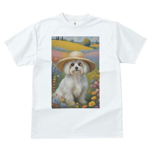 }`[Y TVc fB[X t@  t  vg JWA 킢 lԗp h ̃fUC ʔ Xq }`[Y Ԕ i