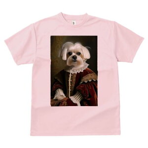 }`[Y TVc fB[X t@  t  vg JWA 킢 lԗp h ̃fUC ʔ ё }`[Y lTX  {