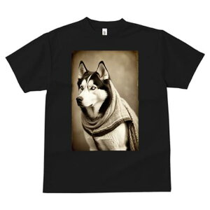 VxAnXL[ TVc fB[X t@  t  vg JWA 킢 lԗp h ̃fUC ʔ XJ[t VxAnXL[