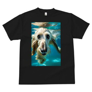 AtKnEh TVc fB[X t@  t  vg JWA 킢 lԗp h ̃fUC ʔ  AtKnEh 