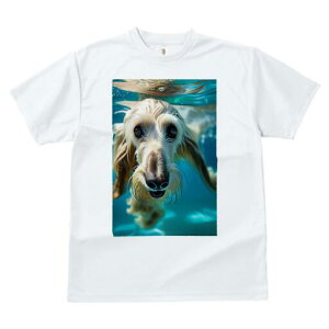 AtKnEh TVc fB[X t@  t  vg JWA 킢 lԗp h ̃fUC ʔ  AtKnEh 