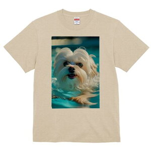 }`[Y TVc fB[X t@  t  vg JWA 킢 lԗp h ̃fUC ʔ  }`[Y v[