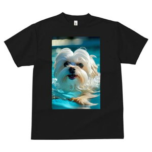 }`[Y TVc fB[X t@  t  vg JWA 킢 lԗp h ̃fUC ʔ  }`[Y v[