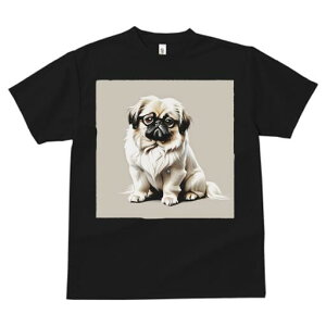 yLj[Y TVc fB[X t@  t  vg JWA 킢 lԗp h ̃fUC ʔ Kl yLj[Y