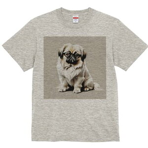 yLj[Y TVc fB[X t@  t  vg JWA 킢 lԗp h ̃fUC ʔ Kl yLj[Y